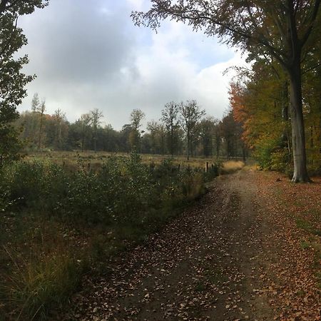 Villa Helena Linden Kültér fotó